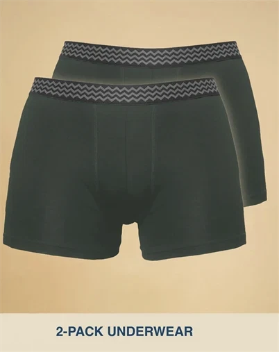 Elsk - Micromodal Underwear Mens 2-pack Boxers - Stone Green